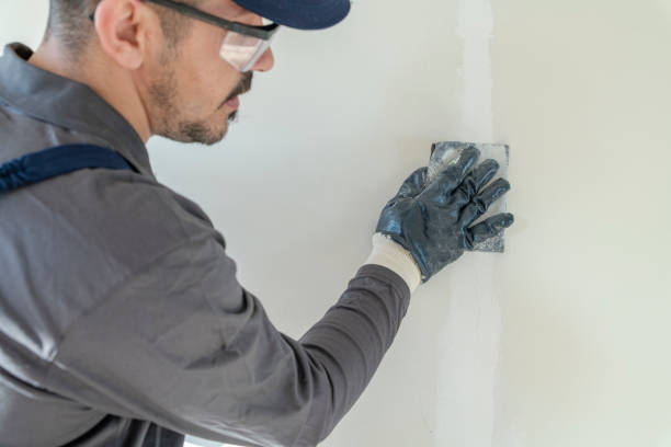 Best Residential Mold Inspection & Testing  in Whitesboro, AL