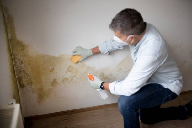 Mold Remediation for Vacation Homes