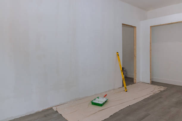 Best Mold Damage Restoration  in Whitesboro, AL
