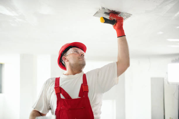 Best Mold Removal for HVAC Installations  in Whitesboro, AL