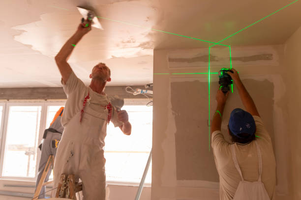 Mold Removal for HVAC Installations in Whitesboro, AL
