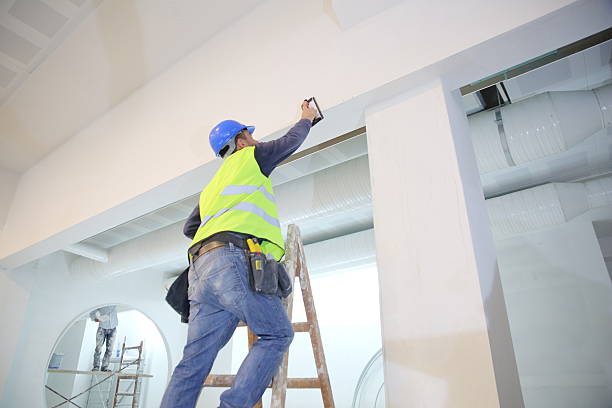 Professional Mold Removal in Whitesboro, AL