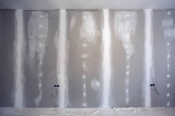 Best Basement Mold Removal  in Whitesboro, AL